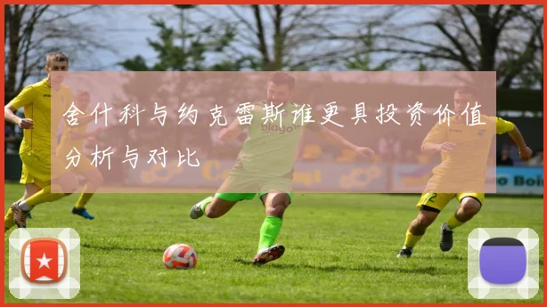 舍什科与约克雷斯谁更具投资价值分析与对比