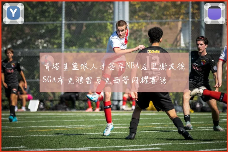 肯塔基篮球人才荟萃NBA后卫谢泼德SGA布克穆雷马克西等闪耀赛场