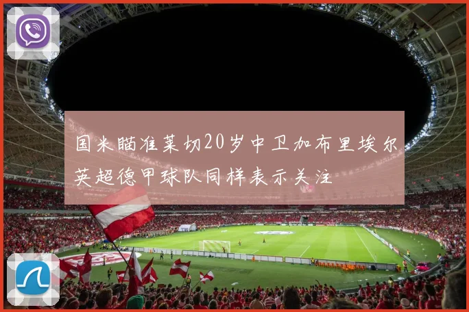 国米瞄准莱切20岁中卫加布里埃尔英超德甲球队同样表示关注