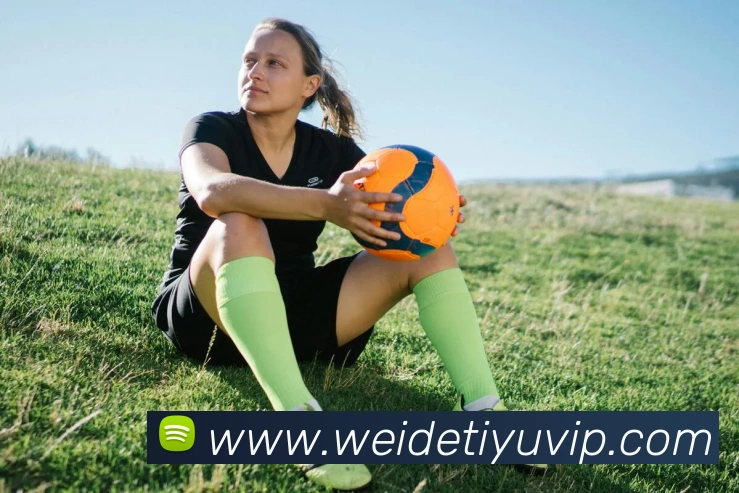 伟德体育全站App